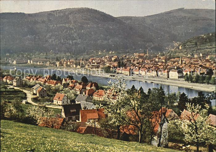 Eberbach Neckar Stadtansicht