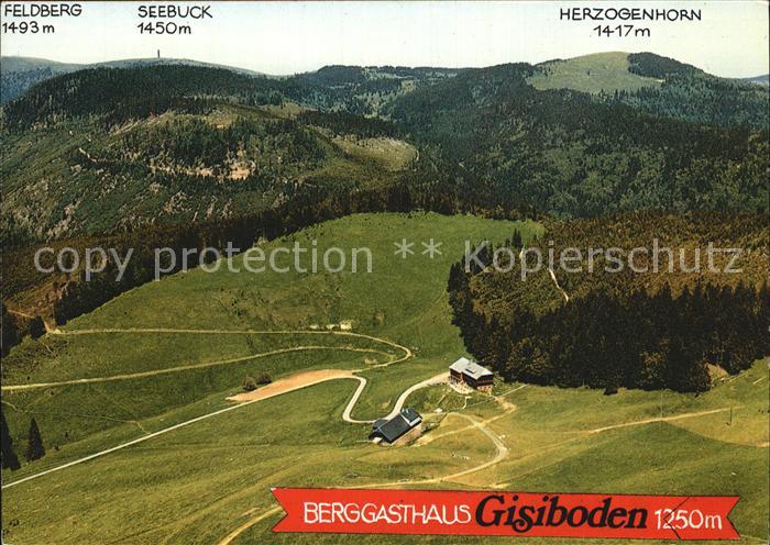 Geschwend Todtnau Berggasthaus Gisiboden mit Feldberg und Herzogenhorn Fliegerau