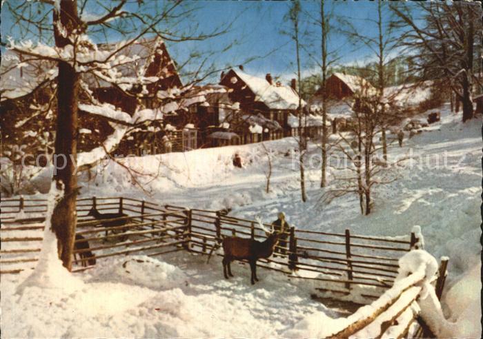 Bad Harzburg Harzhotel Molkenhaus