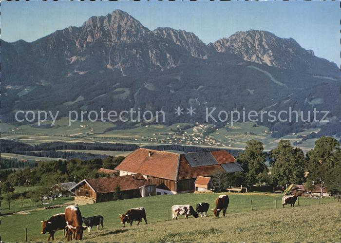 Anger Chiemgau Strobl Alm am Hoegl mit Hochstaufen Zwiesel und Aufham