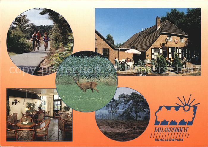 Nieuw Heeten Bungalowpark Sallandshoeve Gastraum Terrasse Radweg