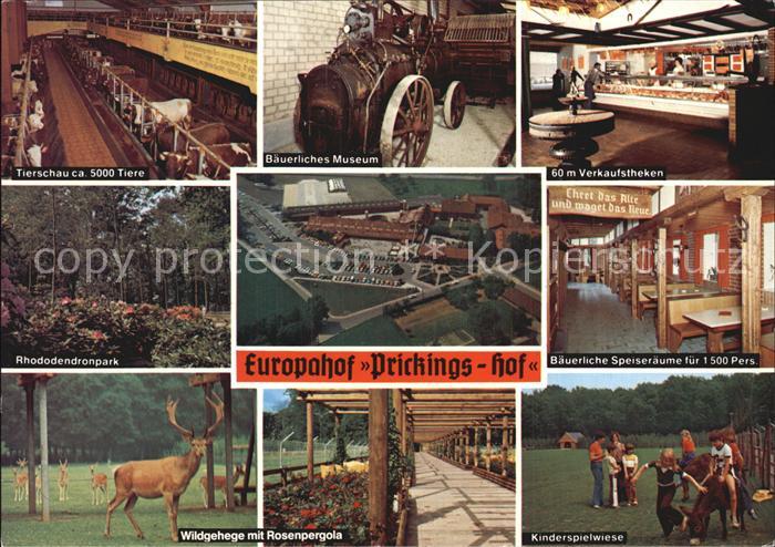 Sythen Europahof Prinkings Hof Tierschau Baeuerl Museum Verkaufstheke Rhododendr