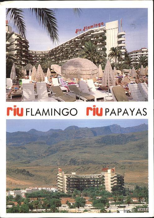 Playa del Ingles Aparthotel Riu Flamingo mit Hotel Riu Papayas