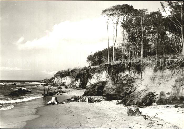 Graal-Mueritz Ostseebad Uhlenflucht Steilkueste