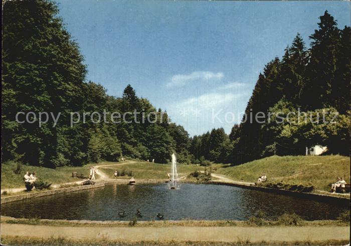 Gras-Ellenbach Kuranlage im Gassbachtal