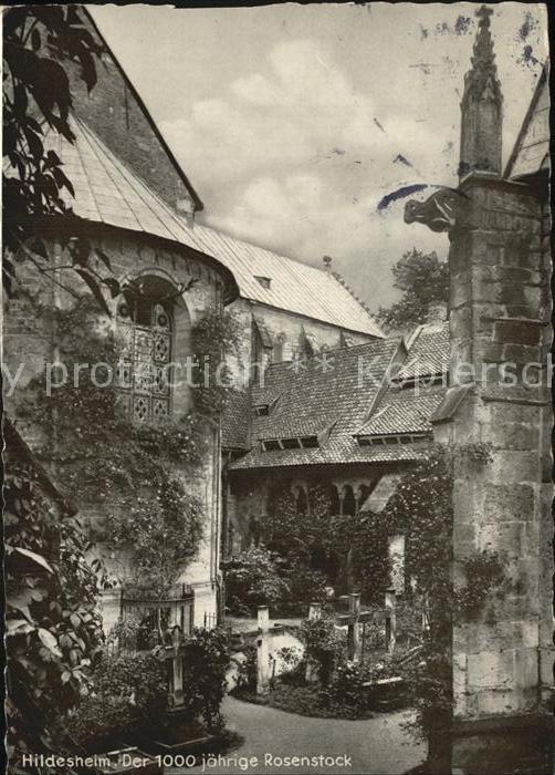 HILDESHEIM  CITY 1000 jaehriger Rosenstock