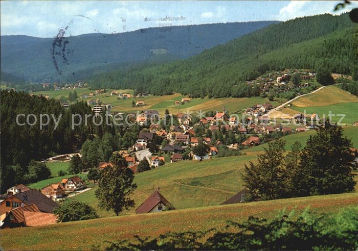 Obertal Baiersbronn Panorama