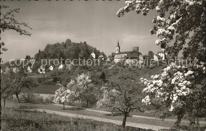 Lindenfels Odenwald Panorama