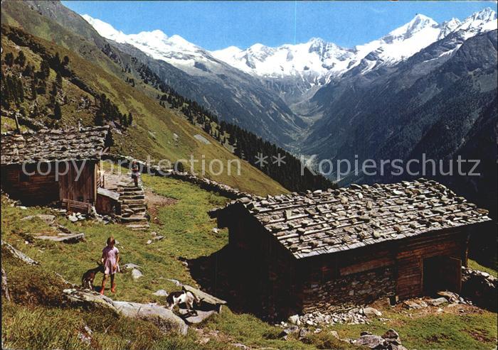 Mayrhofen Zillertal Filzenalm