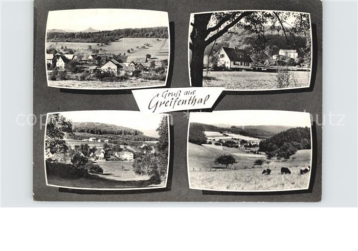 Greifenthal Panorama Teilansichten