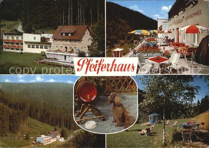 Warmensteinach Waldcafe Pfeiferhaus Hund