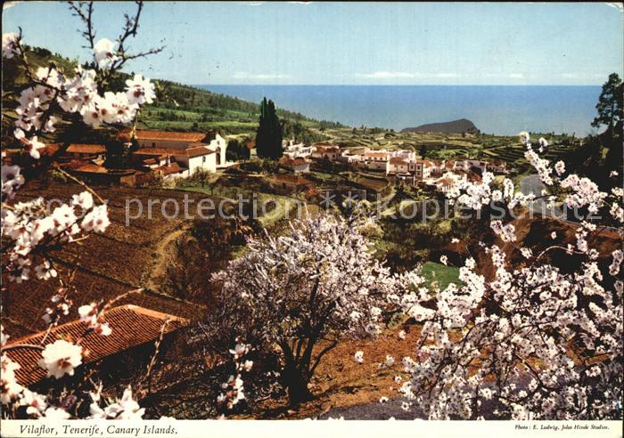 Tenerife Vilaflor