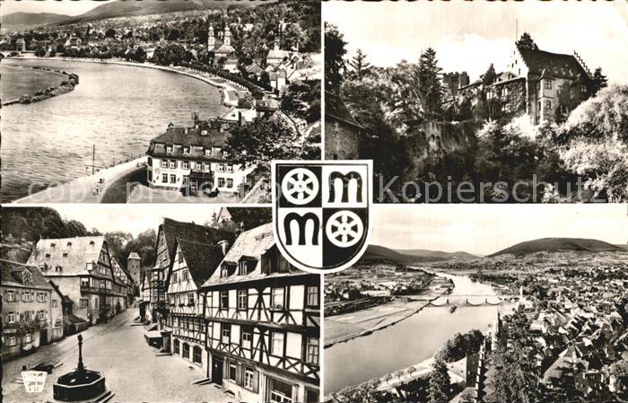 Miltenberg Main Schloss Brunnen