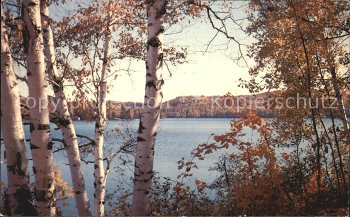 Muskoka Lakes Lake of Bays at autumn
