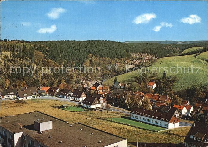 Altenau Harz Glockenberg Blick ins Schultal