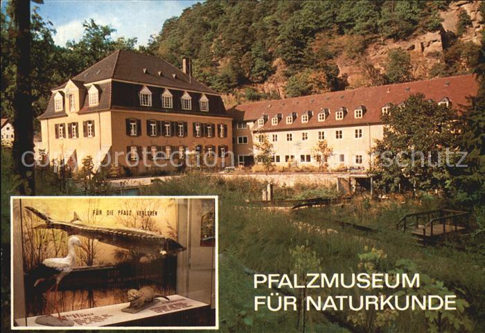 Grethen Bad Duerkheim Pfalzmuseum fuer Naturkunde