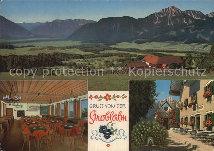 Anger Chiemgau Strobl Alm am Hoegl Pfau Alpenpanorama