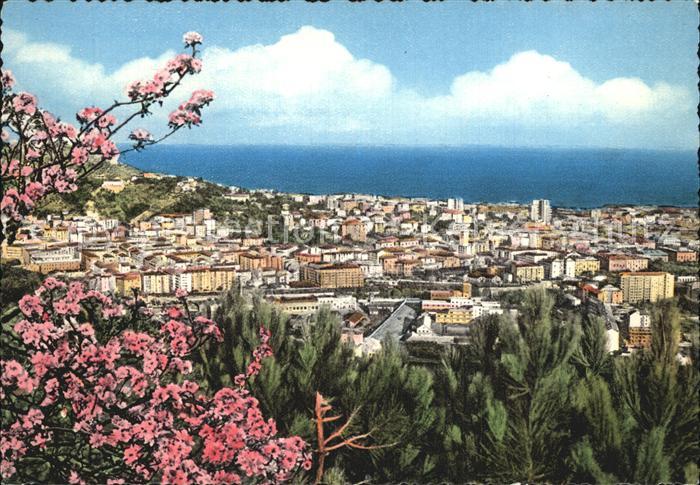 Savona Liguria Panorama di levante Baumbluete