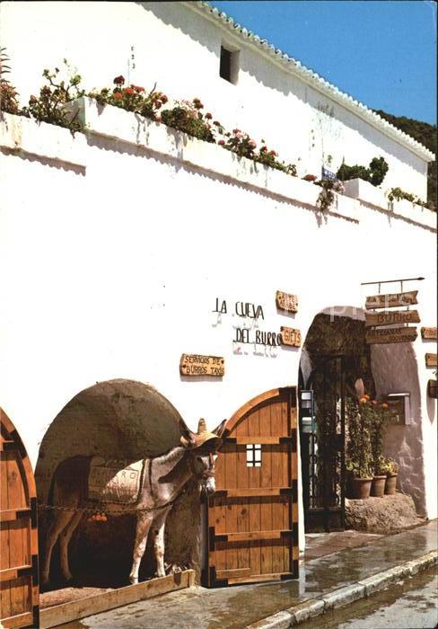 Mijas Rincon tipico Burro Esel