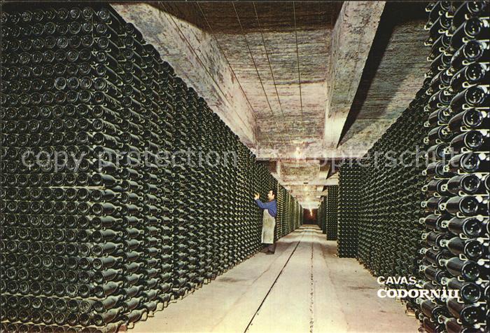 Barcelona Cataluna Cavas Codorniu Botellas envejeciendo