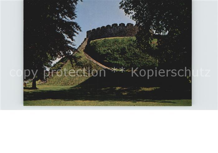 Totnes Town The Castle