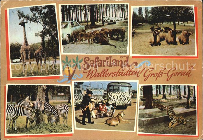 Gross-Gerau Safariland Wallerst?dten