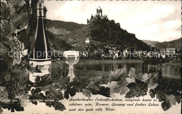 Cochem Mosel Stadtansicht