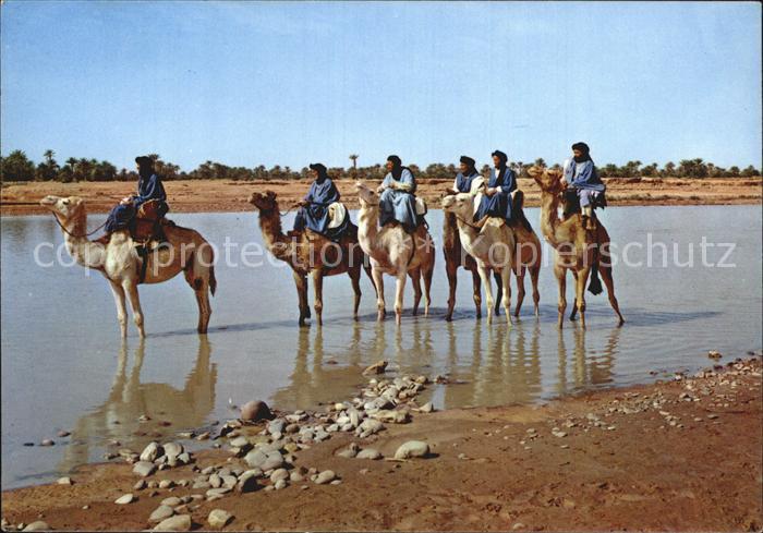 Marokko Maroc Kamelreiter