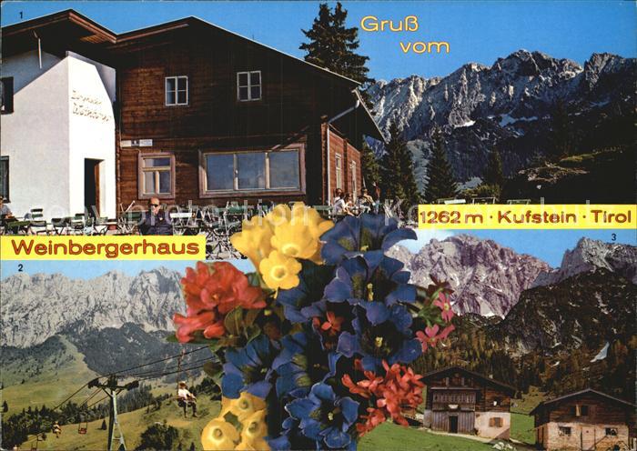 Kufstein Tirol Weinberghaus Brentenjoch Kindlhuette gegen Wilden Kaiser