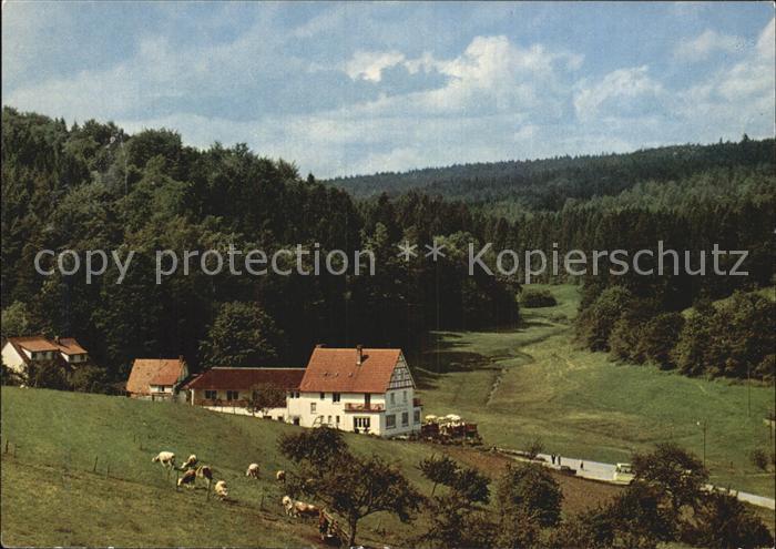 Gras-Ellenbach Gassbachtal