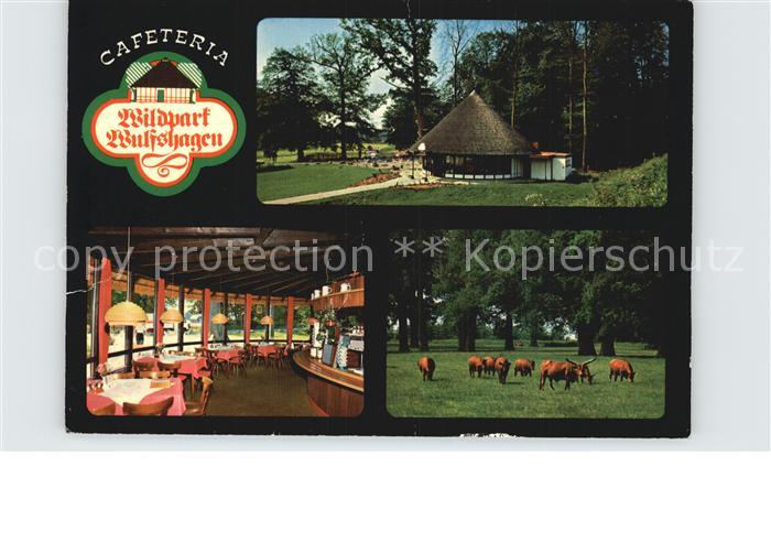 Wulfshagen Tuettendorf Cafeteria am Wildpark