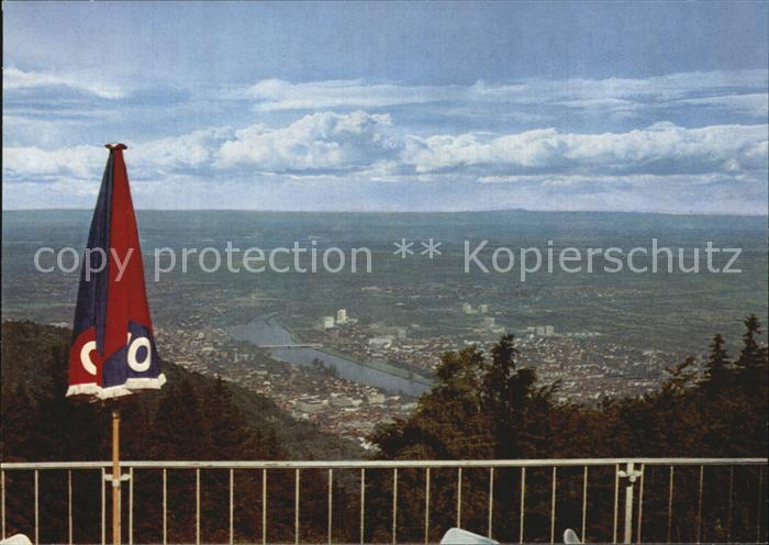 Heidelberg Neckar Blick vom Hotel Koenigstuhl