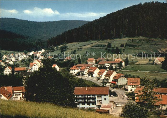 Enzkloesterle Teilansicht