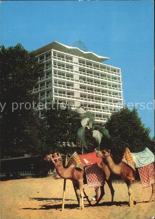 Slantschev Brjag Kamel Hotel