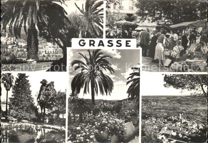 Grasse Alpes Maritimes Markt Park