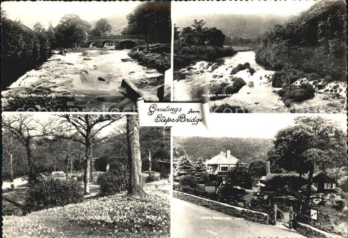 Steps Bridge
