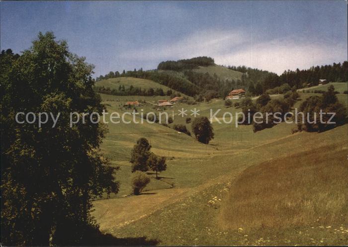 Neuenweg Gasthaus Pension Haldenhof
