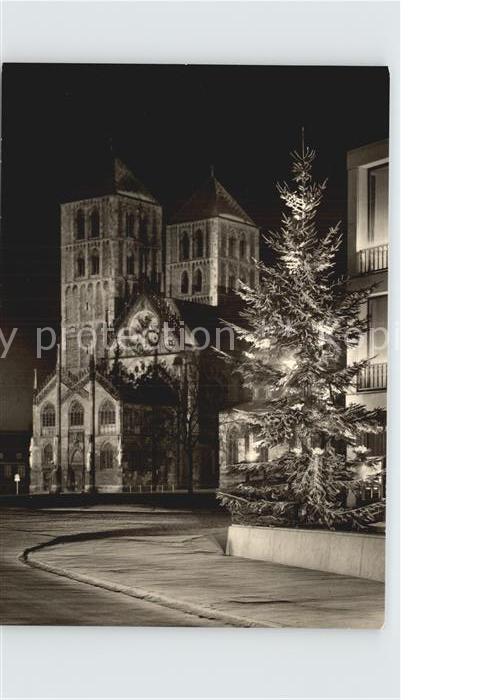 Muenster Westfalen Dom in Festbeleuchtung