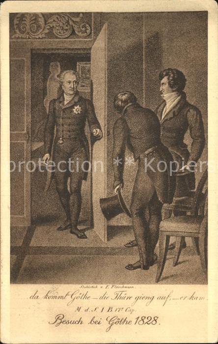 Goethe Johann Wolfgang von Stahlstich F. Fleischmann