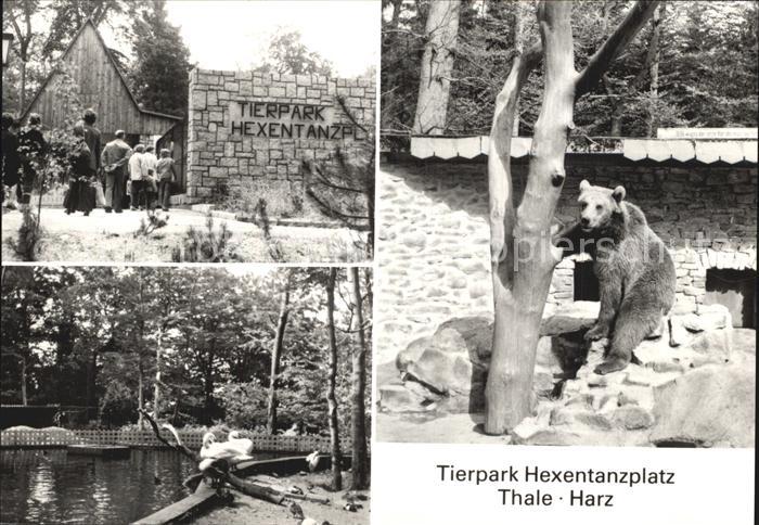 Baeren Tierpark Hexentanzplatz Thale Harz