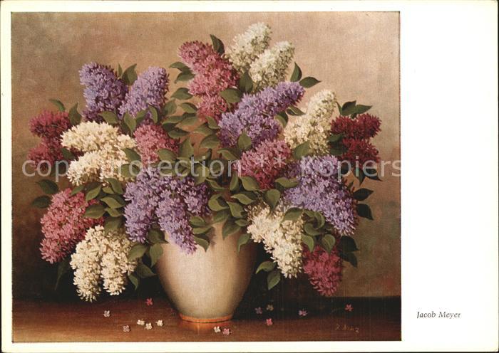 Verlag Wiechmann Nr. 4385 Jacob Meyer Flieder