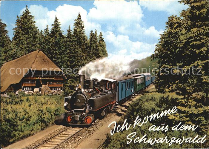 Lokomotive Schwarzwald Schwarzwaldhaus
