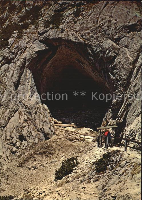 Hoehlen Caves Grottes Eisriesenwelt Hoehleneingang