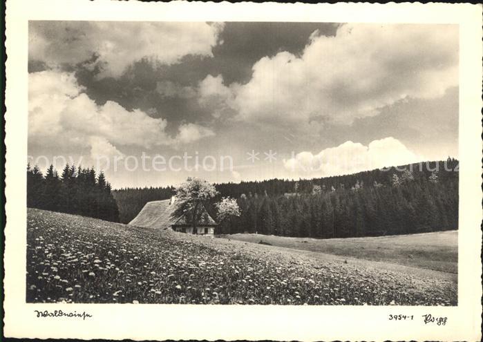 Foto Popp Nr. 3954-1 Landschaft Natut