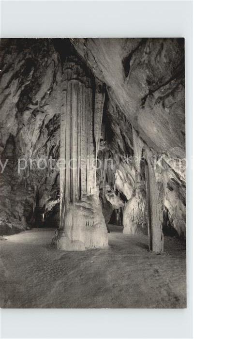 Hoehlen Caves Grottes Postojnska Jama Slowenien