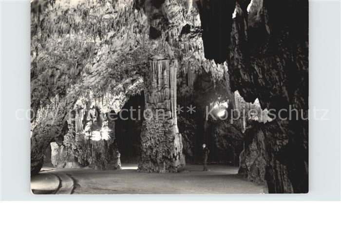 Hoehlen Caves Grottes Postojnska Jama Slowenien
