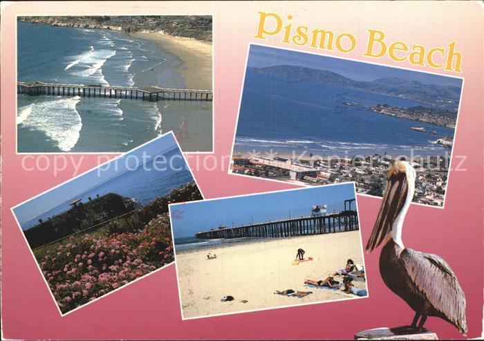Pismo Beach Seebruecke Strand Pelikan