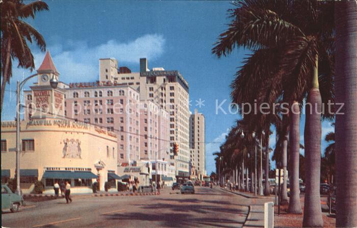 Miami Florida Biscayne Blvd looking north Hotels and Royal Palms