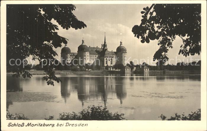 Dresden Schloss Moritzburg an der Elbe
