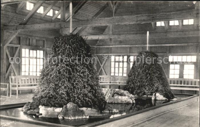 Bad Sulza Zerstaeuberhalle Gradierwerk